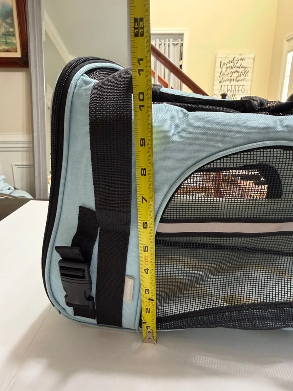 Paws & Pals Light Blue Pet Carrier with Black Mesh